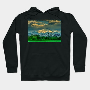 Summer Promises Return - Iris Sunrise Hoodie